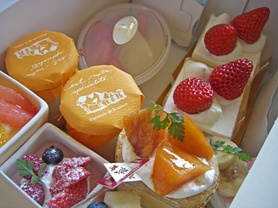 こんなにたくさん!